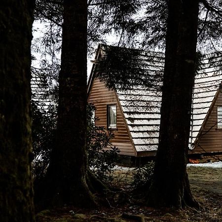 The Triangle Lodge Invergarry Esterno foto